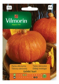 Lielo ķirbju sēklas Vilmorin Premium P703