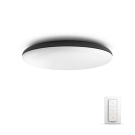 Išmanusis šviestuvas Philips Cher Hue, juodas, 1x39W 24V