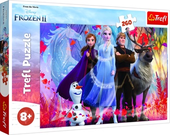 PUSLE FROZEN2 260D 13250