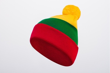 Cepure 478 (knitas)
