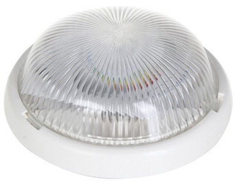 Lena Luna Bulkhead 7W 920lm LED White