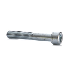 POLT DIN912 M10X60 ZN (100)