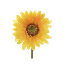 MĀKSLĪGĀ PUĶE GERBER YELLOW 802232