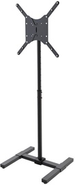 TV hoidik NewStar, 10-55", 20 kg