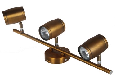 Lampa Verners Rapo Spotlight 3x40W GU10 Brass