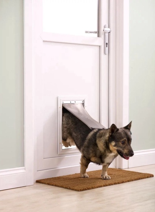 Durvju atvere PetSafe Pet Flap 620, 27.7 cm x 6 cm x 40 cm