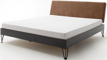 Gulta Meise Möbel Boston-1 Spoke Metal Foot Cognac, 200x140 cm