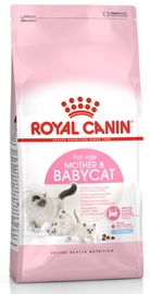 Sausā kaķu barība Royal Canin First age Mother & Babycat, 4 kg