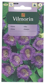 Kobeju sēklas Vilmorin