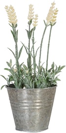 Kunsttaim potis, lavendel Home4you, valge, 25 cm