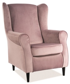 Fotelis Signal Meble Baron Antique Pink, 75x80x101 cm