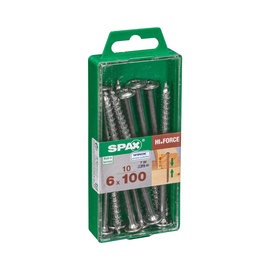 PUIDUKRUVI SPAX LAI PEA TX 6X100 10TK