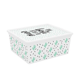 KASTE UZGLAB.C-BOX QUOTES M 18L 8409000 (KIS)