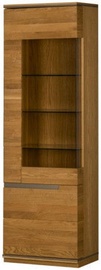 Szynaka Meble Torino 10/11 Showcase Gold Oak