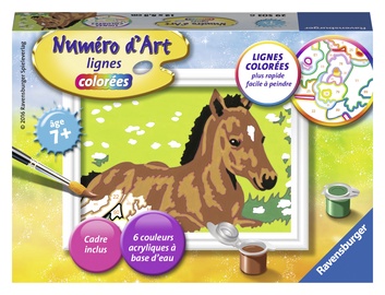 Ravensburger Painting By Numbers Horse 296873