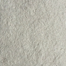 Šķidrās tapetes Domoletti 850-N, 1, balta