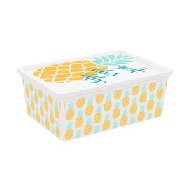 KASTE UZGLAB.C-BOX QUOTES S 11L 8408000 (KIS)