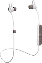 Belaidės ausinės JAM Live Loose In-Ear Grey