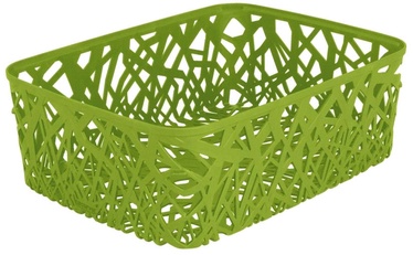 Curver Neo Green