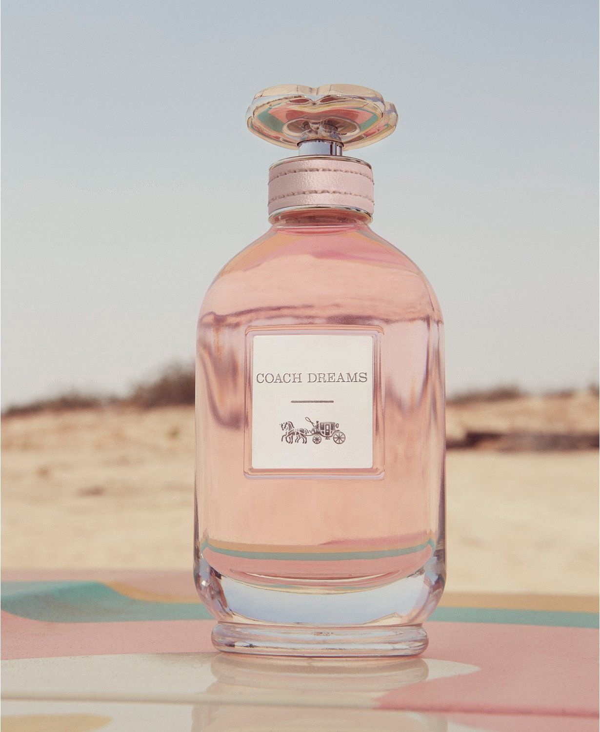 coach dreams edp 60ml