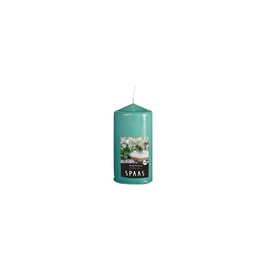 SVECE 0004800.191 (SPAAS)