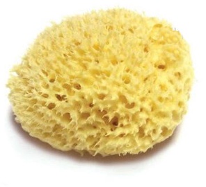 Sūklīs Bellini Honeycomb, 10 cm x 10 cm, dzeltena