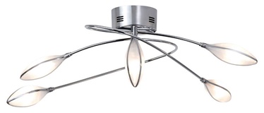 LAMPA GRIESTU GRAIN TRIO 5X20W G4