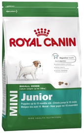 Royal Canin SHN Mini Junior 8kg