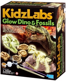 4M KidzLabs Glow Dino & Fossils 5528