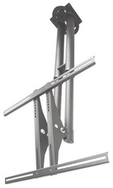 Televizoriaus laikiklis Newstar PLASMA-C100 Ceiling Mount 37-75" Silver