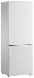 Amica FK239.3