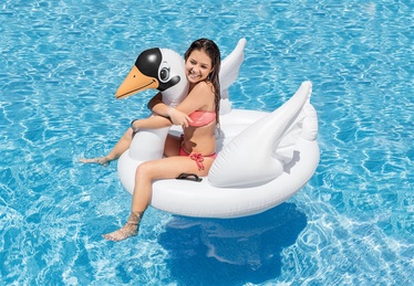 UJUMISMADRATS SWAN 57557NP