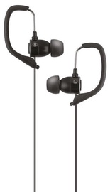 Ausinės Forever Sport Music Headset Black