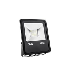 Spectrum Noctis Eco 30W 860 Outdoor Spotlight