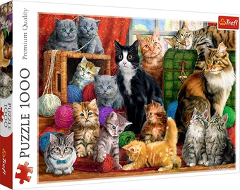 PUZLE 1000 KITTENS 10555T