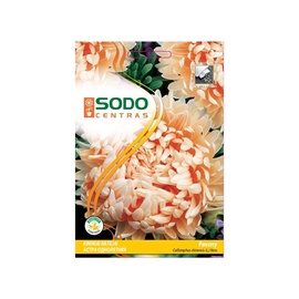 Ķīnas asteres sēklas Paeony, 0.5 g, rozā