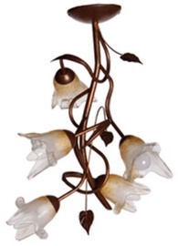 LAMKUR Maja LM-5.36/BR Brown