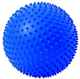 Togu Senso Ball Amethyst 23cm
