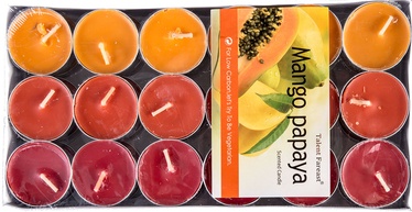 Home4you Talent Colour Candles 36pcs Orange