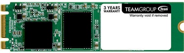 Team Group M.2 SSD Lite 256GB TM8PS5256GMC101