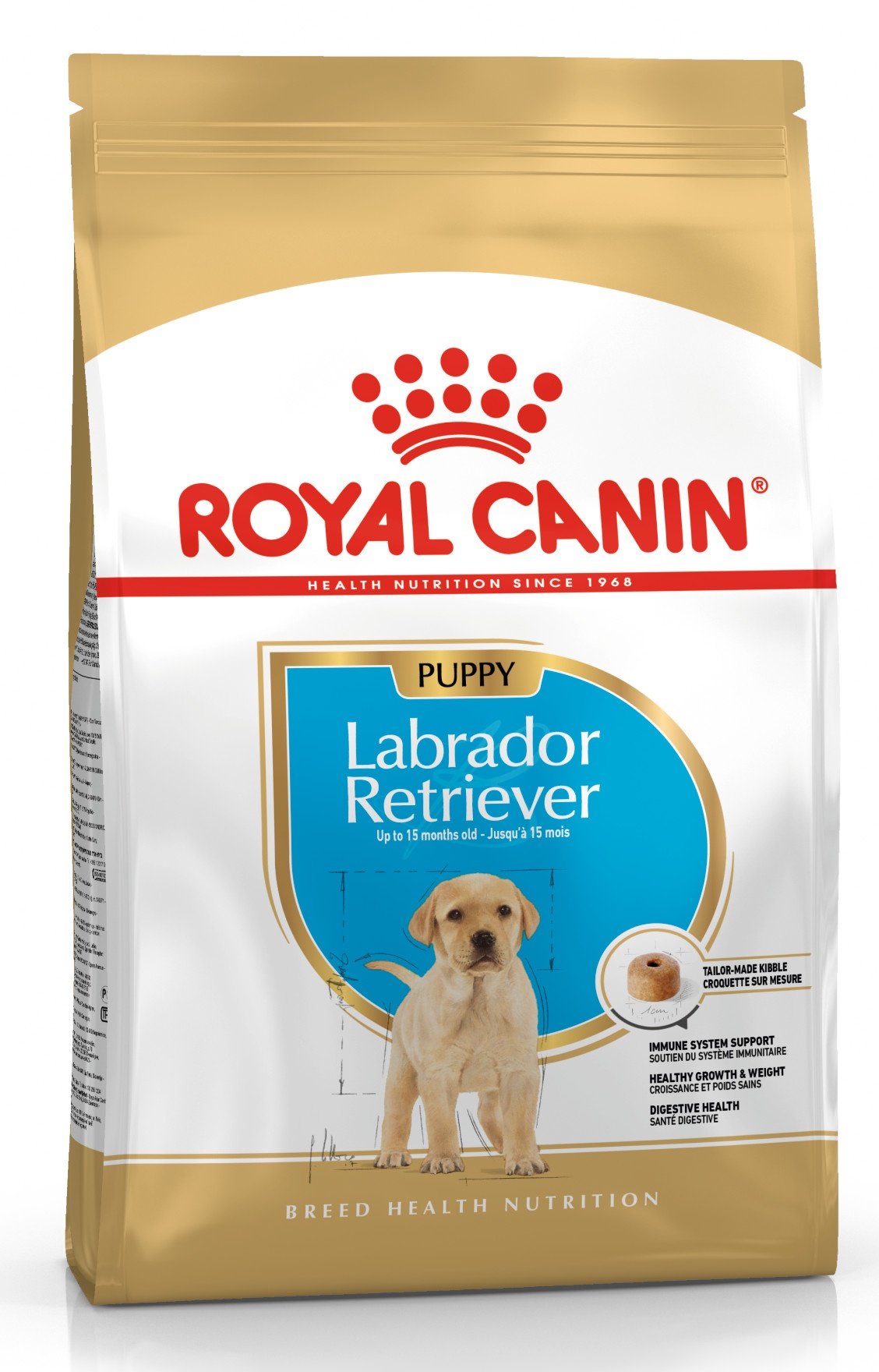 labrador retriever royal canin