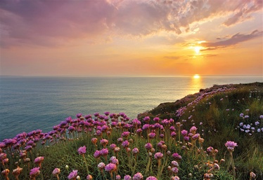 FOTOTAPETE 8-901 LANDS END 368X254CM