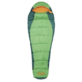 Miegmaišis Coleman Fision 200 Green, 208 cm