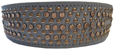 Hunter Dog Collar Wip-Pet Blue 47cm