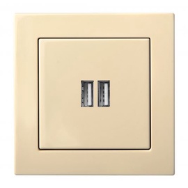 USB kroviklis Liregus Epsilon, smėlio spalvos
