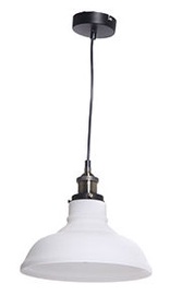 Verners 148031 TENY