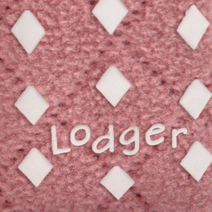 Тапки Lodger, розовый