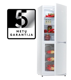 Šaldytuvas Snaigė RF30SM-S100210