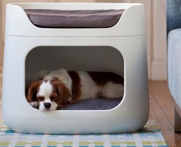 dog crate bunk bed