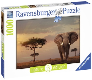 Puzle Ravensburger Masai, 1000 gab.